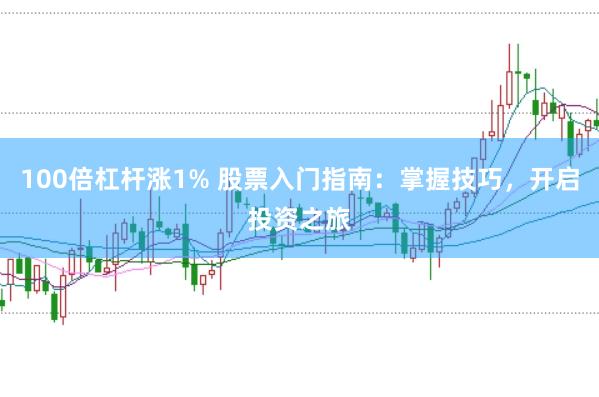 100倍杠杆涨1% 股票入门指南：掌握技巧，开启投资之旅