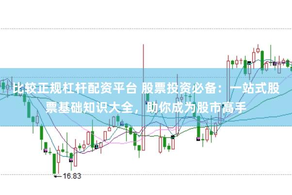 比较正规杠杆配资平台 股票投资必备：一站式股票基础知识大全，助你成为股市高手