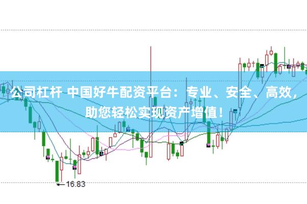公司杠杆 中国好牛配资平台：专业、安全、高效，助您轻松实现资产增值！