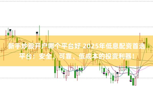 新手炒股开户哪个平台好 2025年低息配资首选平台：安全、可靠、低成本的投资利器！