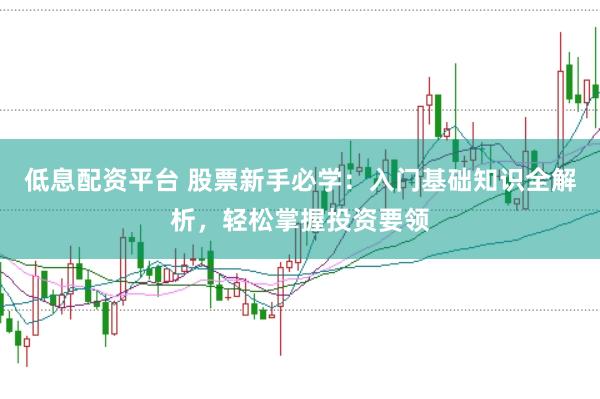 低息配资平台 股票新手必学：入门基础知识全解析，轻松掌握投资要领
