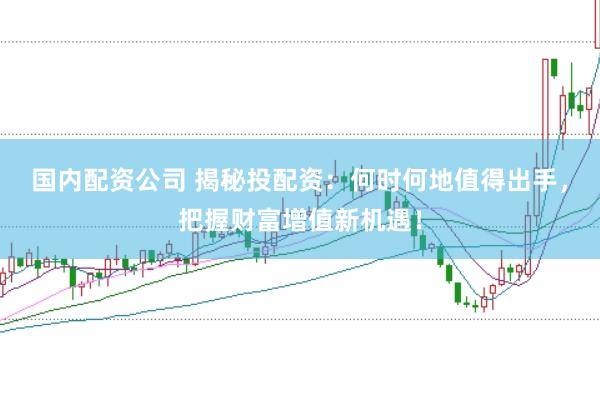 国内配资公司 揭秘投配资：何时何地值得出手，把握财富增值新机遇！