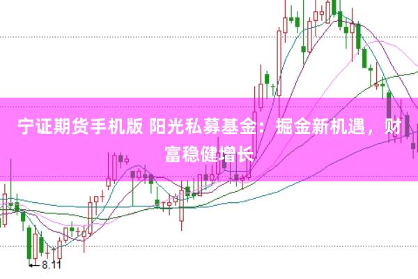 宁证期货手机版 阳光私募基金：掘金新机遇，财富稳健增长
