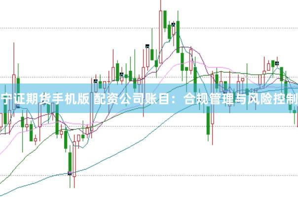 宁证期货手机版 配资公司账目：合规管理与风险控制