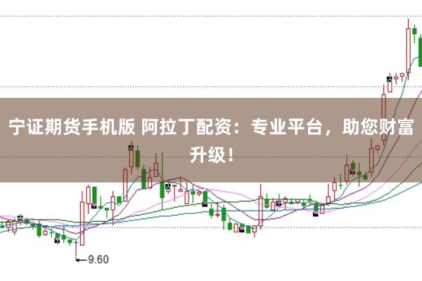 宁证期货手机版 阿拉丁配资：专业平台，助您财富升级！