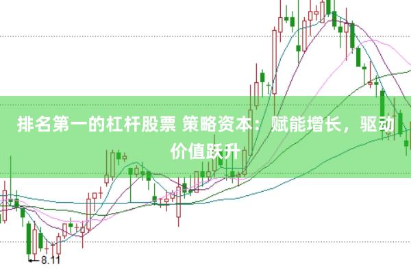 排名第一的杠杆股票 策略资本：赋能增长，驱动价值跃升