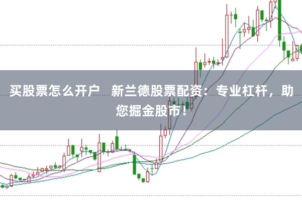买股票怎么开户   新兰德股票配资：专业杠杆，助您掘金股市！