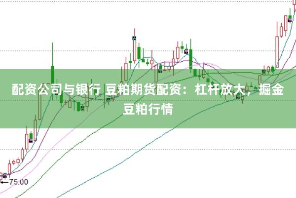 配资公司与银行 豆粕期货配资：杠杆放大，掘金豆粕行情