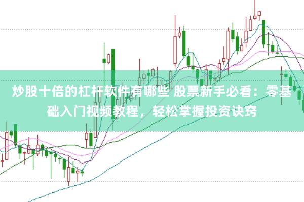 炒股十倍的杠杆软件有哪些 股票新手必看：零基础入门视频教程，轻松掌握投资诀窍
