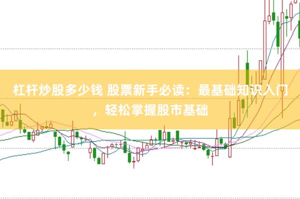 杠杆炒股多少钱 股票新手必读：最基础知识入门，轻松掌握股市基础