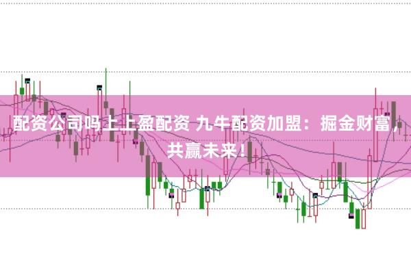 配资公司吗上上盈配资 九牛配资加盟：掘金财富，共赢未来！
