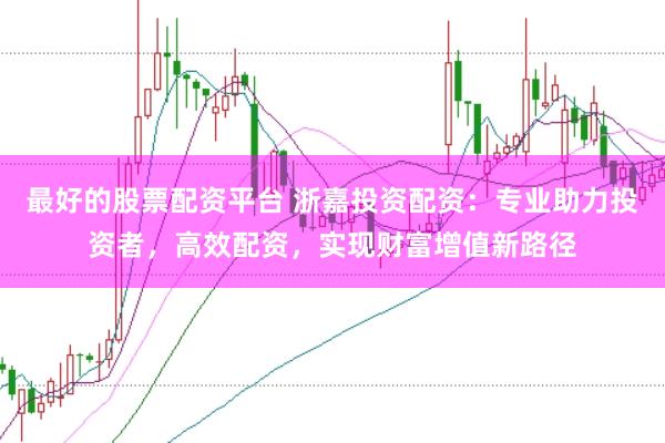 最好的股票配资平台 浙嘉投资配资：专业助力投资者，高效配资，实现财富增值新路径