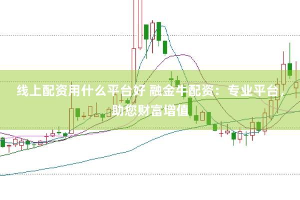 线上配资用什么平台好 融金牛配资：专业平台，助您财富增值