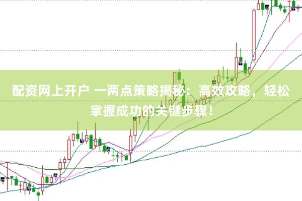 配资网上开户 一两点策略揭秘：高效攻略，轻松掌握成功的关键步骤！