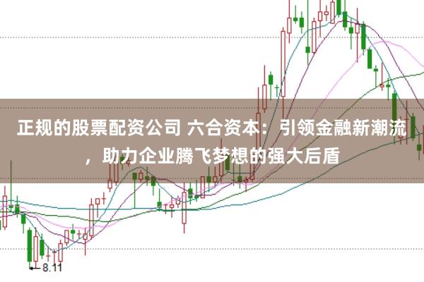 正规的股票配资公司 六合资本：引领金融新潮流，助力企业腾飞梦想的强大后盾