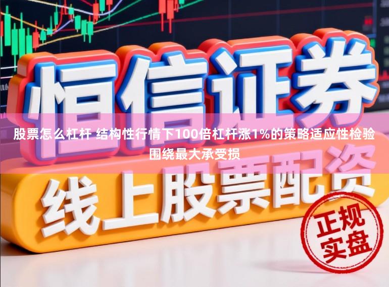 股票怎么杠杆 结构性行情下100倍杠杆涨1%的策略适应性检验围绕最大承受损