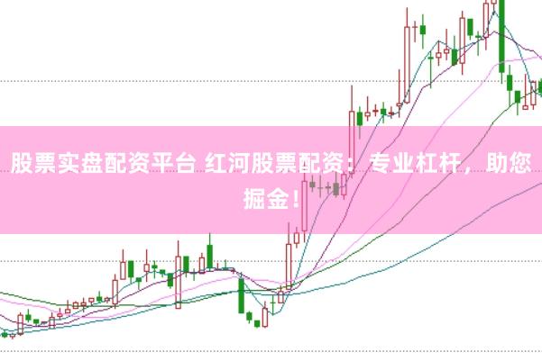股票实盘配资平台 红河股票配资：专业杠杆，助您掘金！
